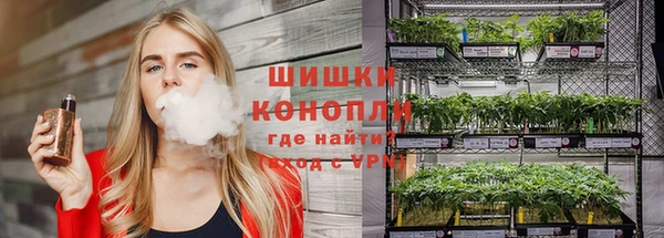скорость Каменногорск