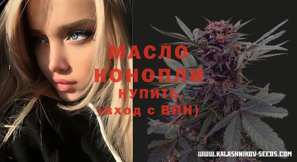 скорость Каменногорск